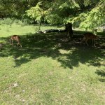 phoca_thumb_m_vlet km 26 Fotogalerie